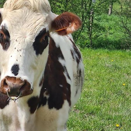 Roulotte A La Ferme Buissonniere Villa La Lande-de-Louge Eksteriør billede